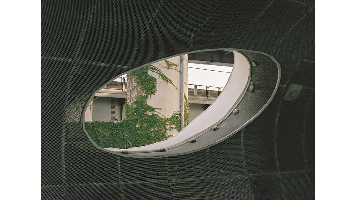 Student image